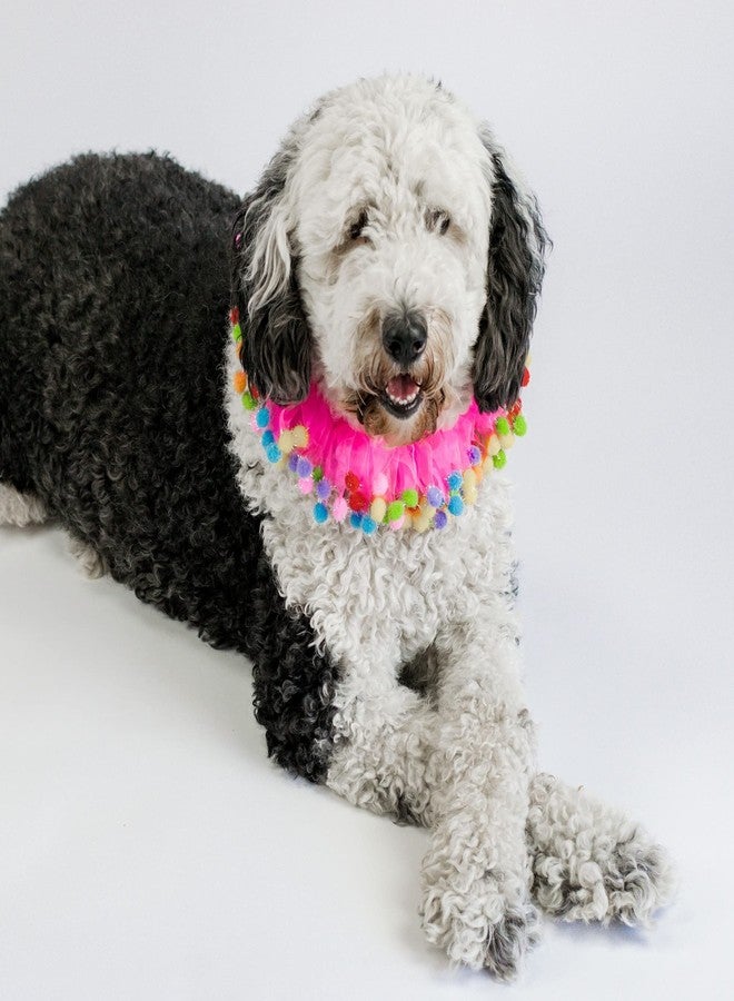 Midlee Pink Birthday Pom Pom Dog Collar (X-Large) - Image 4